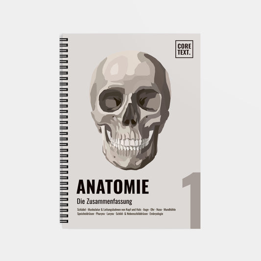 Anatomie 1 - Kopf und Hals