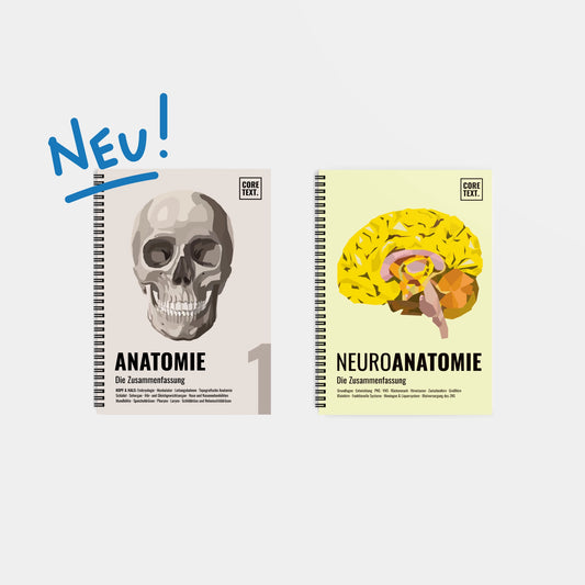 Das große Zeitsparset - Anatomie