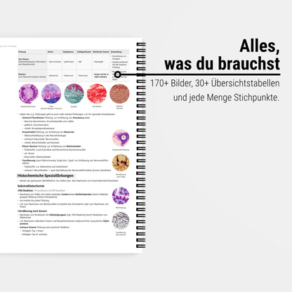 Das große Zeitsparset - Histologie
