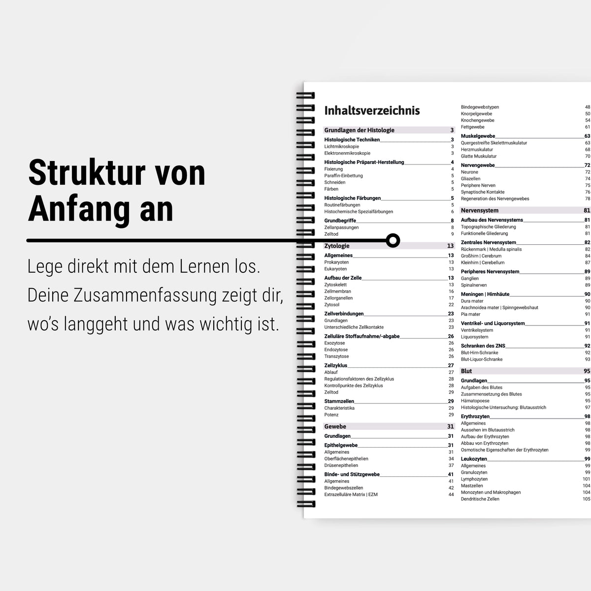 Das große Zeitsparset - Histologie
