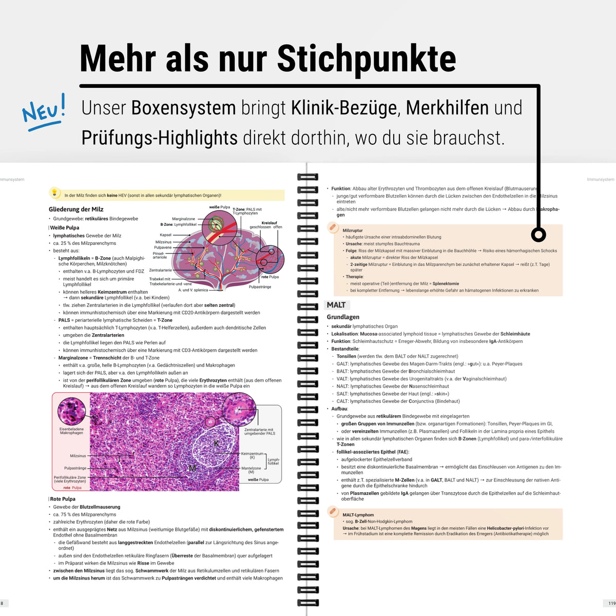Das große Zeitsparset - Histologie