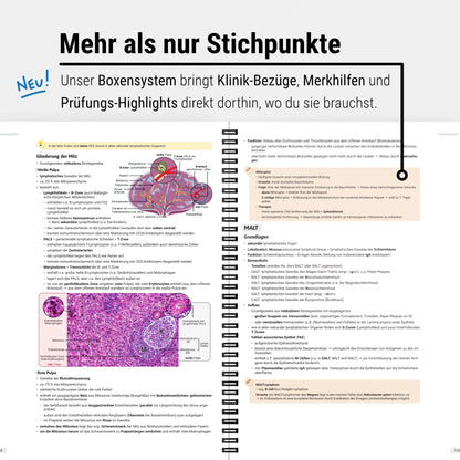 Das große Zeitsparset - Histologie