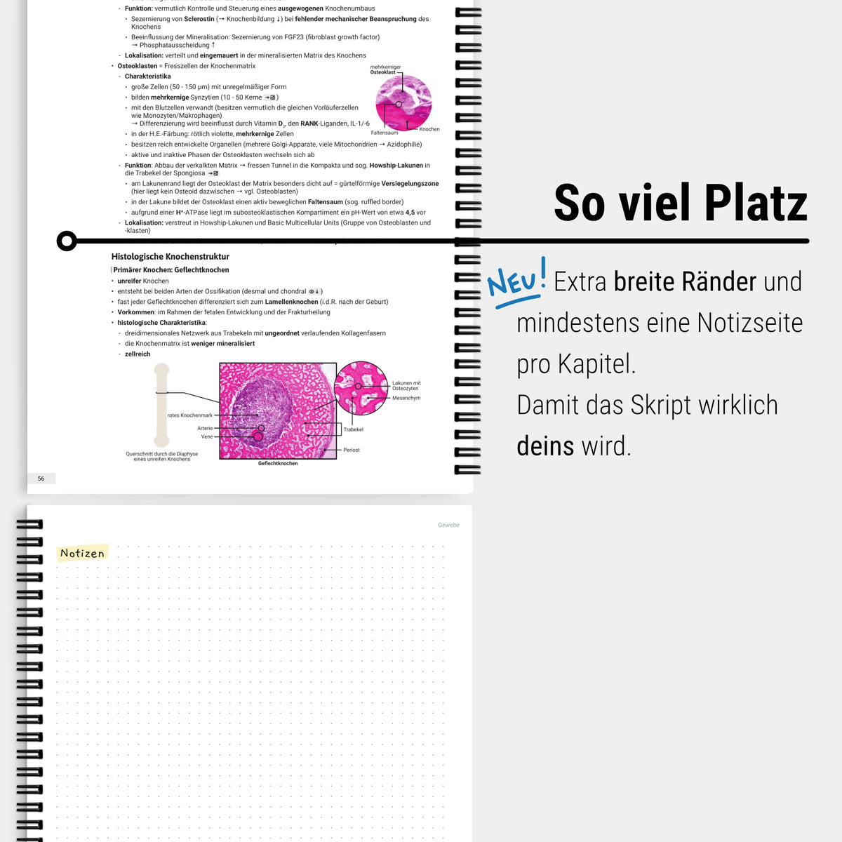 Das große Zeitsparset - Histologie