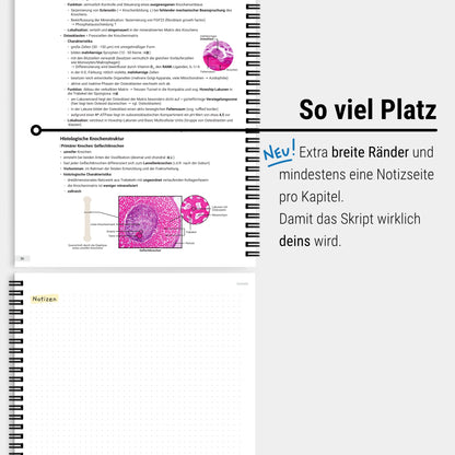 Das große Zeitsparset - Histologie
