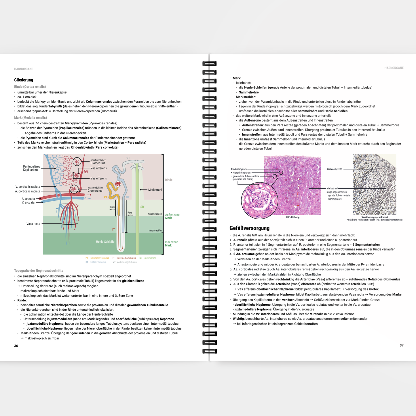 Histologie 2