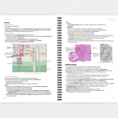 Histologie 2