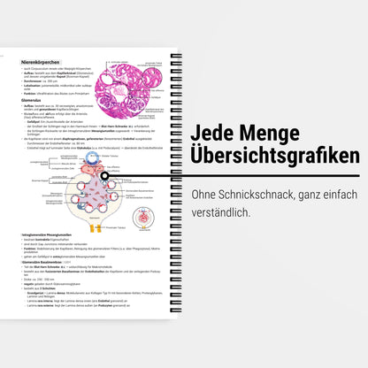 Das große Zeitsparset - Histologie