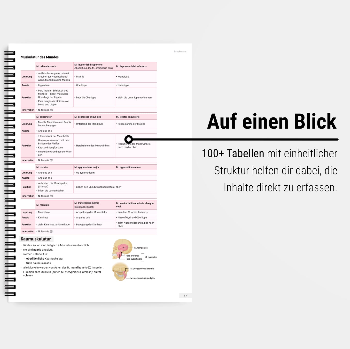 Das große Zeitsparset - Anatomie