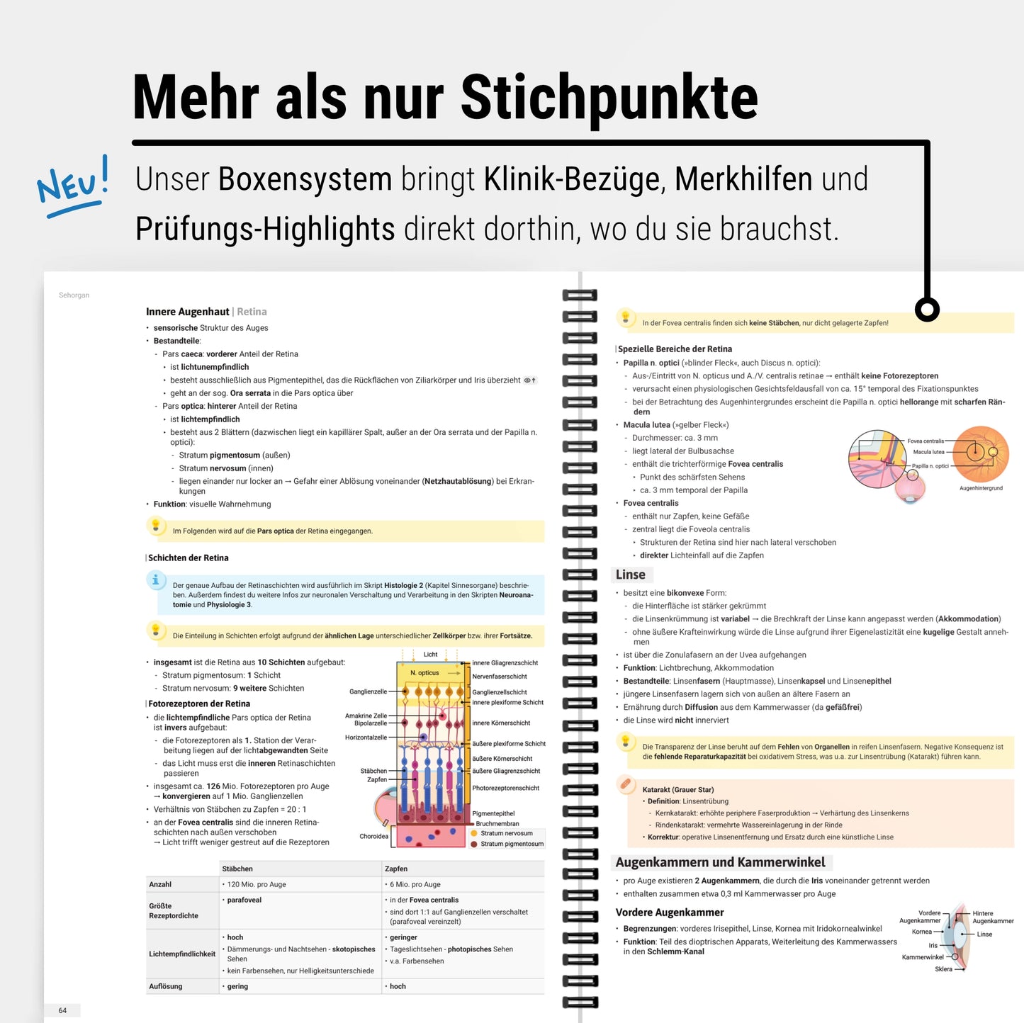 Anatomie 1 - Kopf und Hals