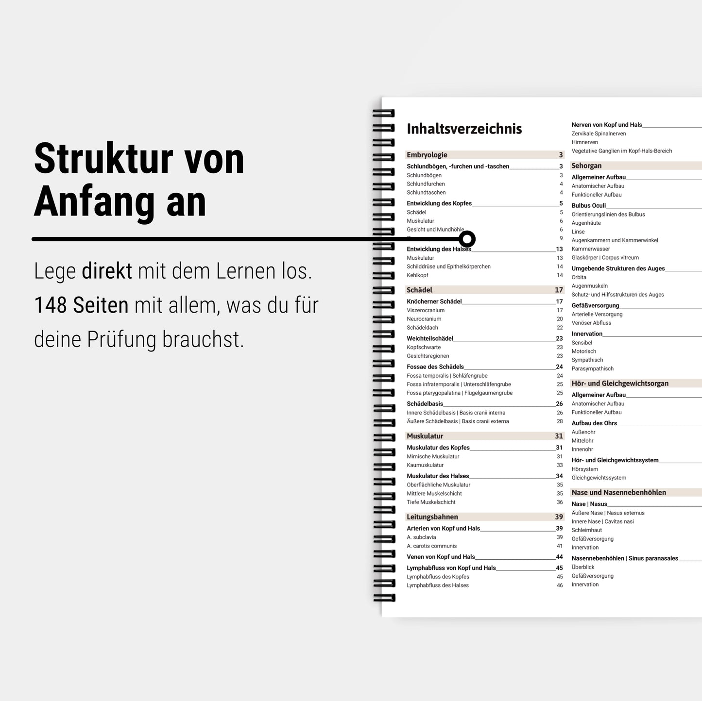 Anatomie 1 - Kopf und Hals