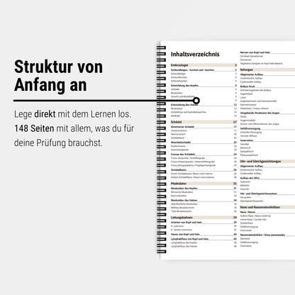 Anatomie 1 - Kopf und Hals