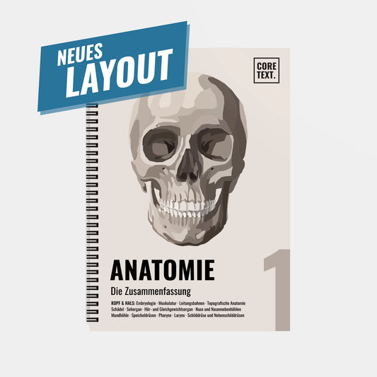 Anatomie 1 - Kopf und Hals