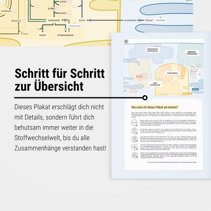 Das Keine-Panik-Plakat