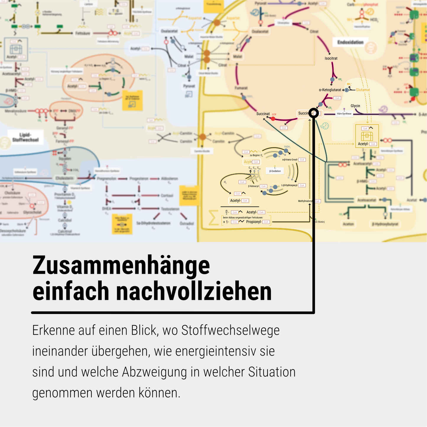 Das Survival Kit 2.0