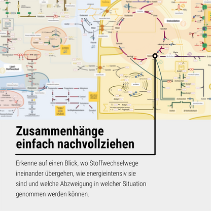 Das Survival Kit 2.0