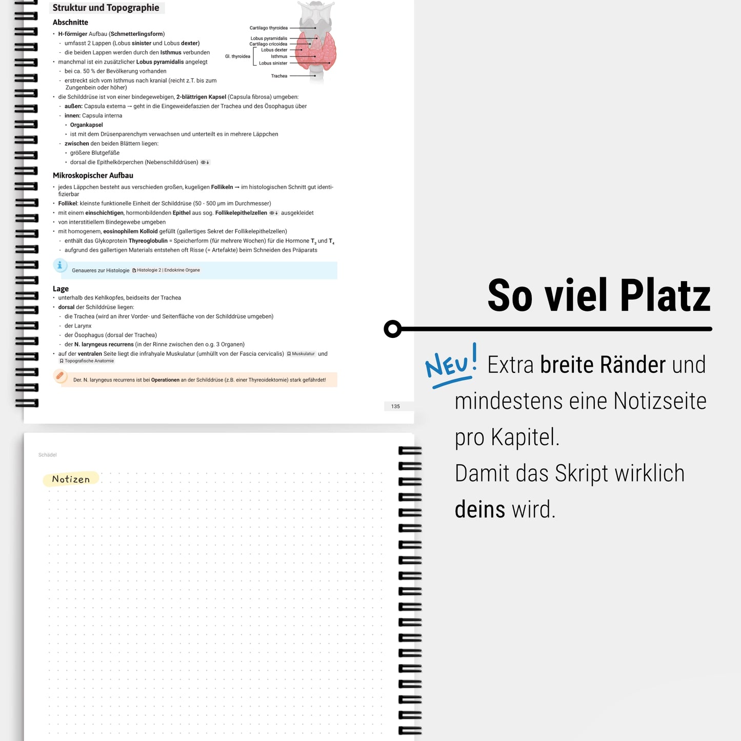 Anatomie 1 - Kopf und Hals