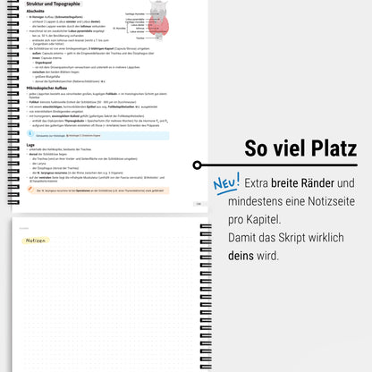 Anatomie 1 - Kopf und Hals