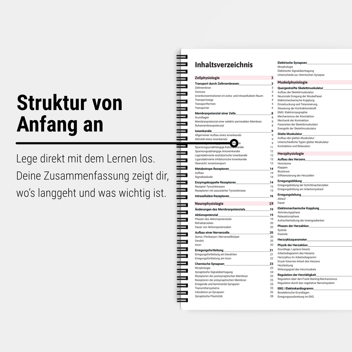 Das große Zeitsparset - Physiologie