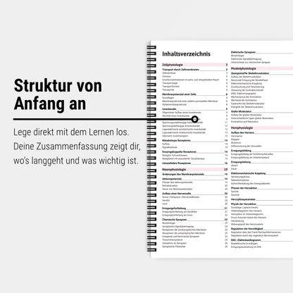 Das große Zeitsparset - Physiologie