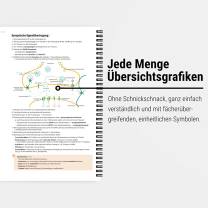 Das große Zeitsparset - Physiologie