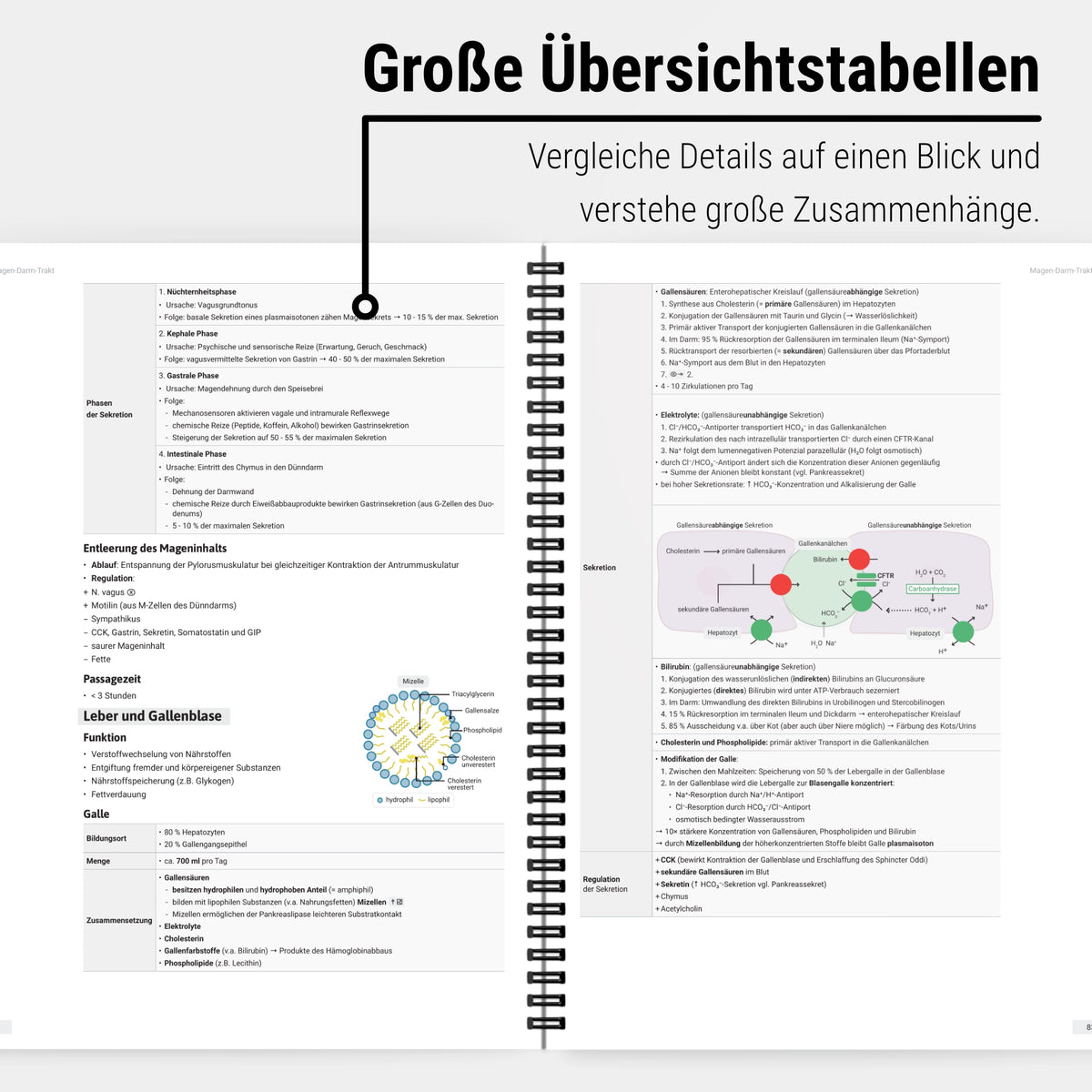 Das Mega-Zeitsparset - Physiologie und Biochemie