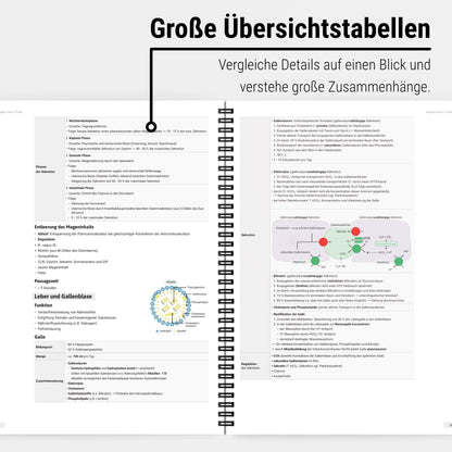 Das große Zeitsparset - Physiologie