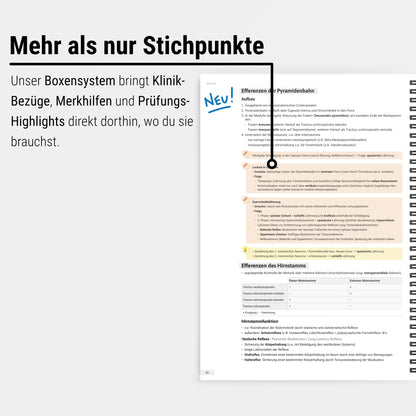 Das große Zeitsparset - Physiologie