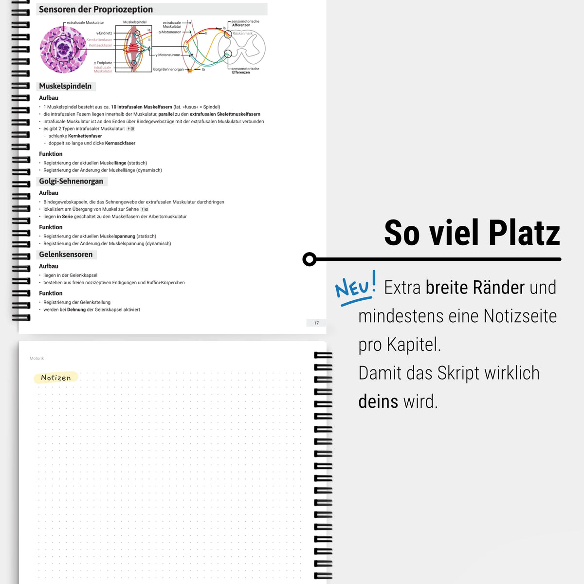 Das große Zeitsparset - Physiologie