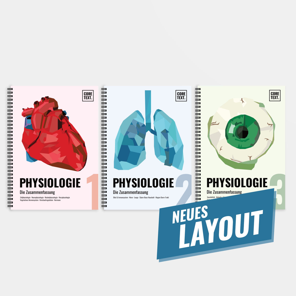 Das große Zeitsparset - Physiologie
