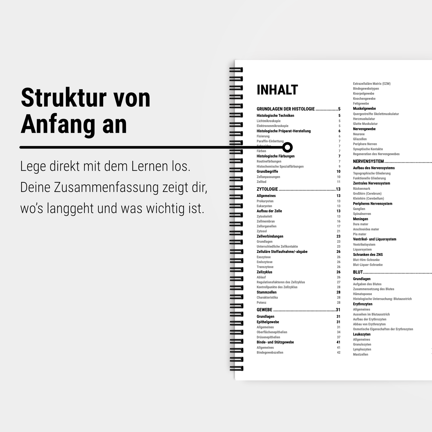 Das große Zeitsparset - Histologie