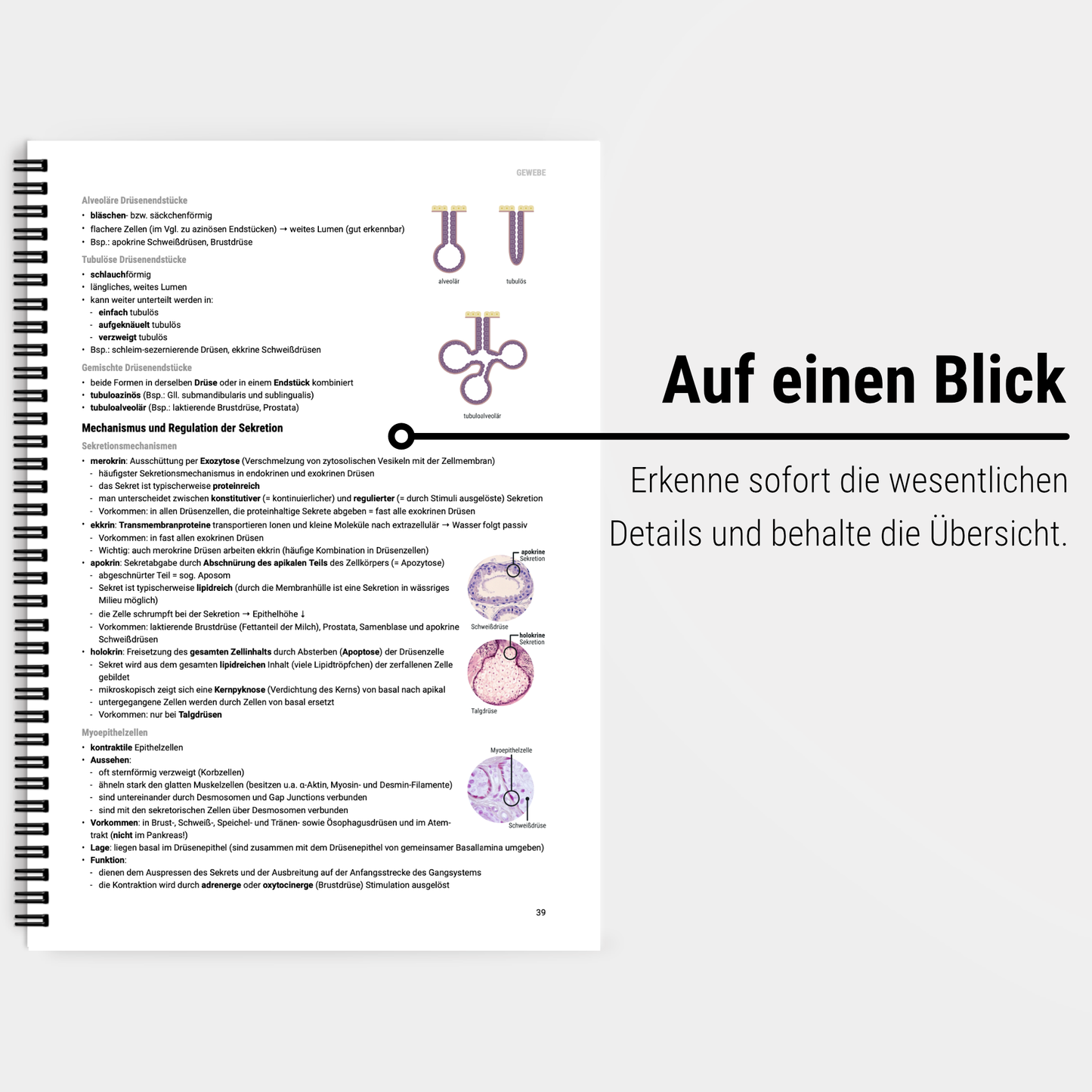 Das große Zeitsparset - Histologie