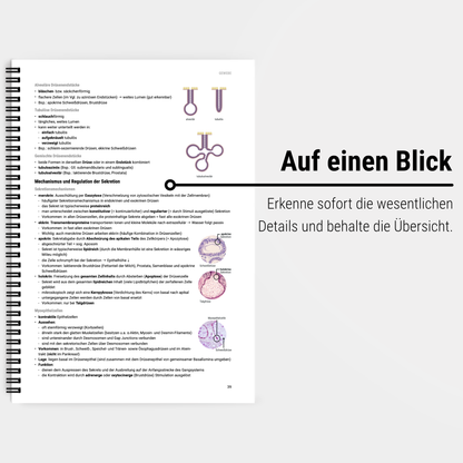 Das große Zeitsparset - Histologie