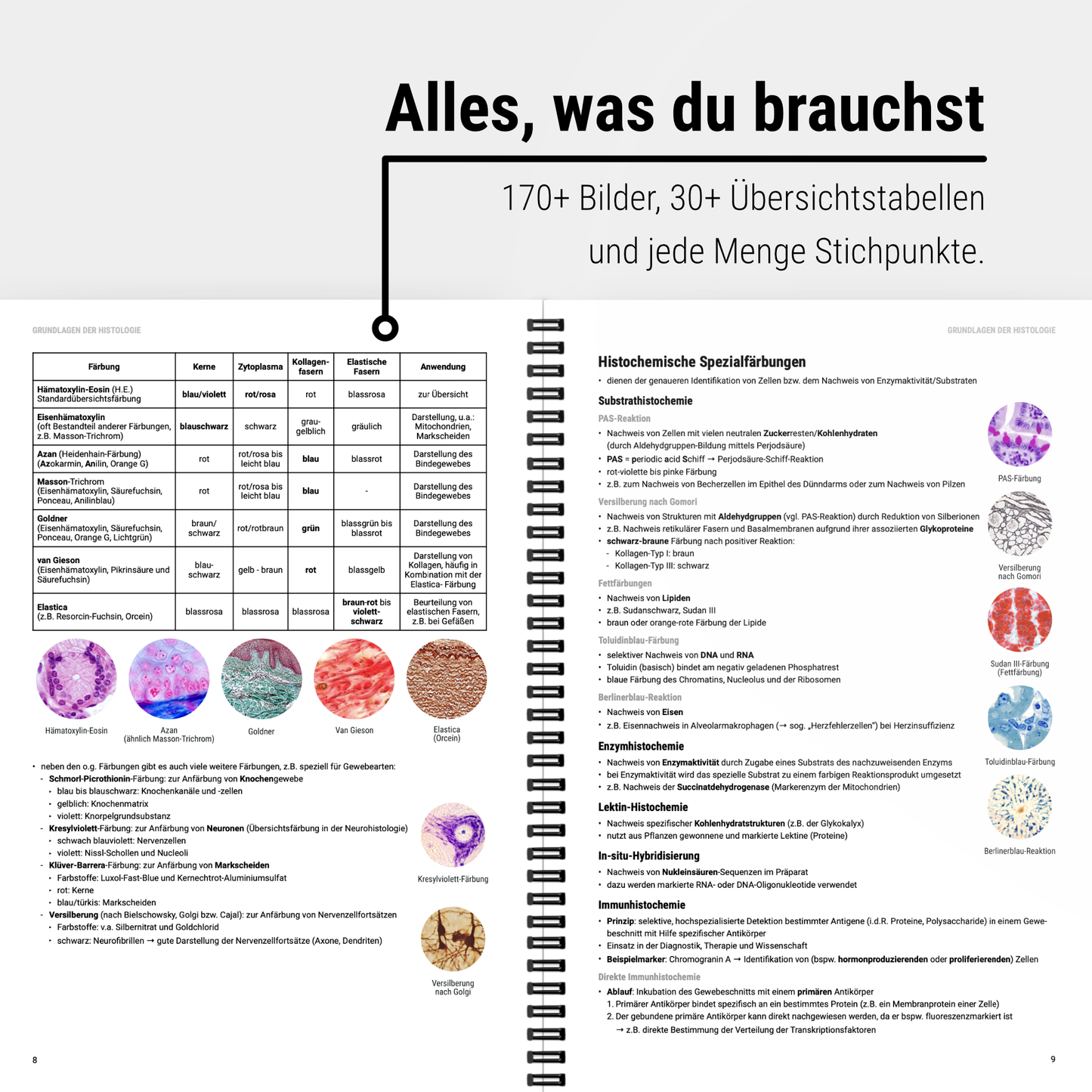 Das große Zeitsparset - Histologie
