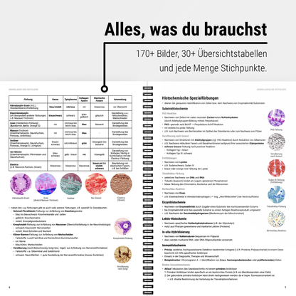 Das große Zeitsparset - Histologie