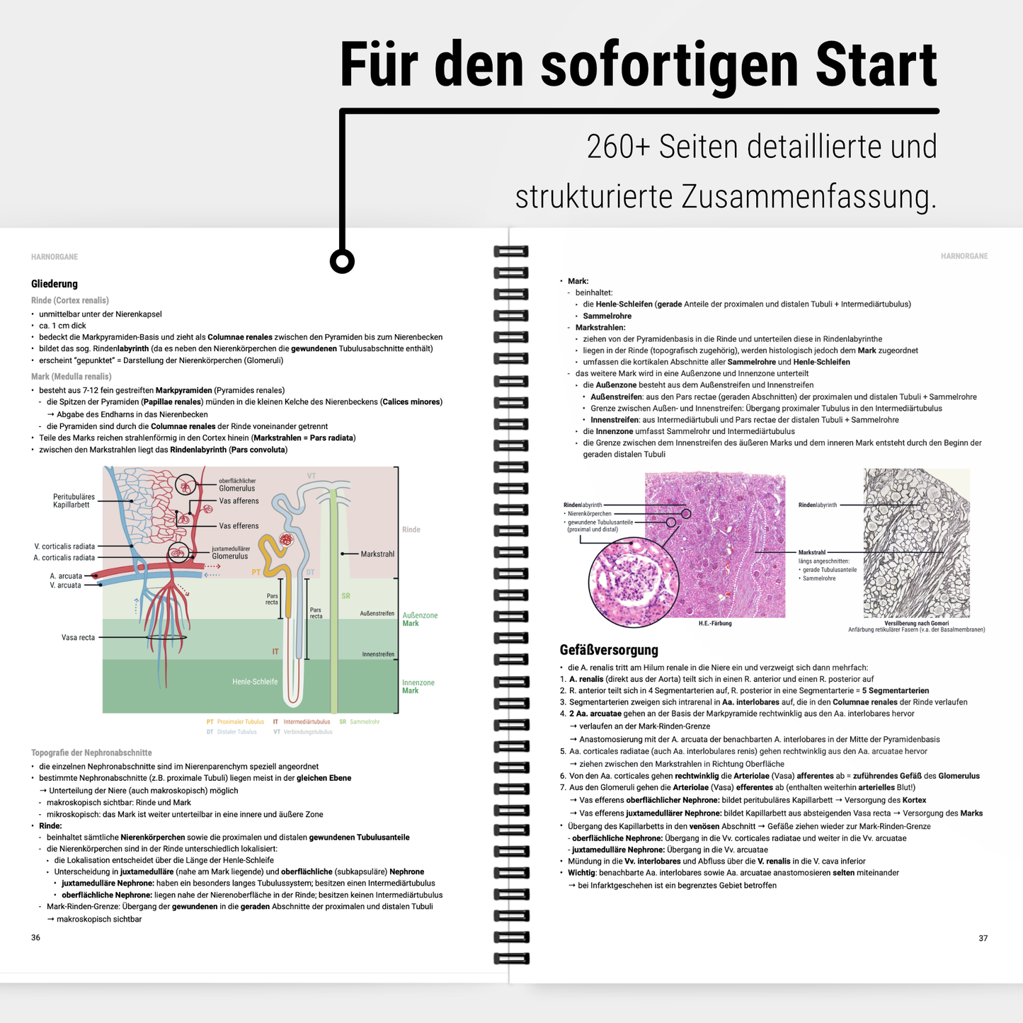 Das große Zeitsparset - Histologie