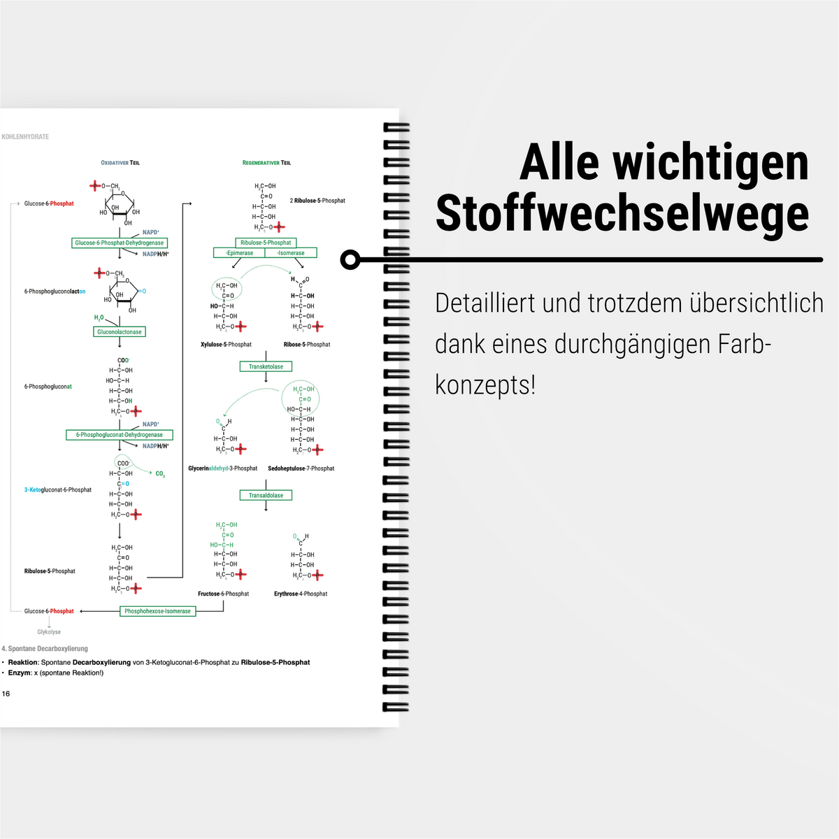 Das Biochemie-Semesterpaket
