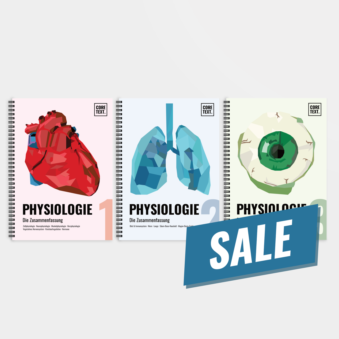 Das große Zeitsparset - Physiologie