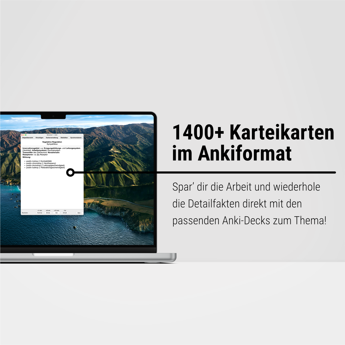 Das Mega-Zeitsparset - Biochemie & Physiologie - CORETEXT