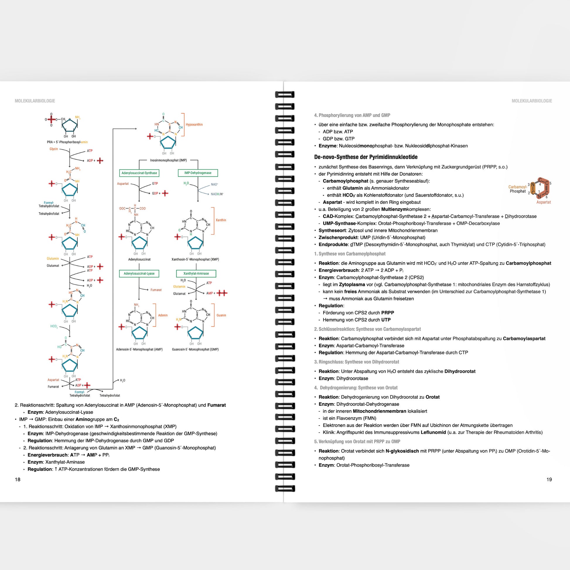 Biochemie 1 - CORETEXT