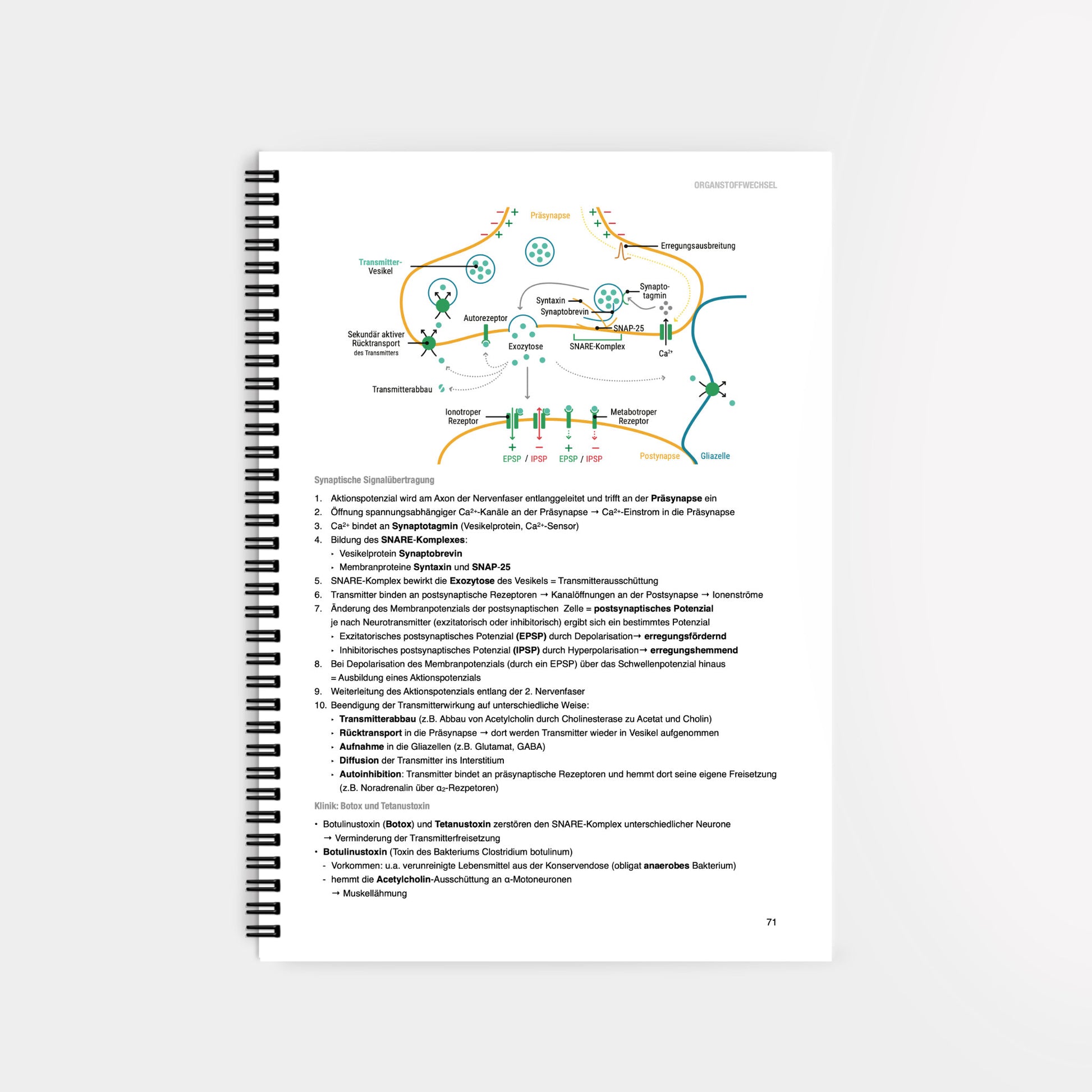 Biochemie 3 - CORETEXT