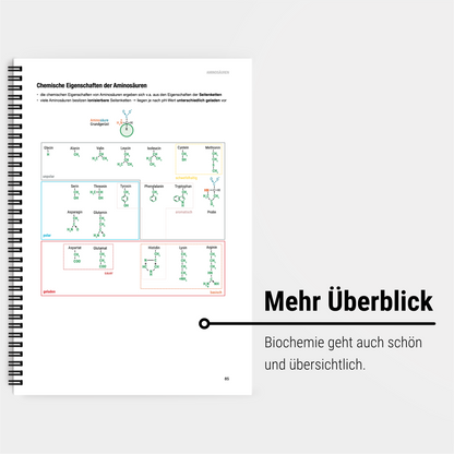 Das große Zeitsparset - Biochemie - CORETEXT