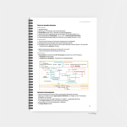 Physiologie 2 - CORETEXT