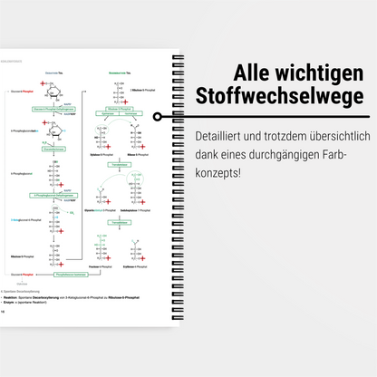 Das große Zeitsparset - Biochemie - CORETEXT